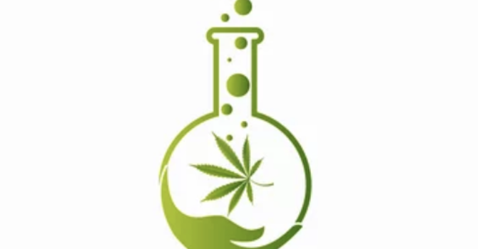 NYS Cannabis Certification